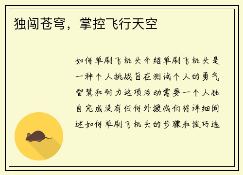 独闯苍穹，掌控飞行天空